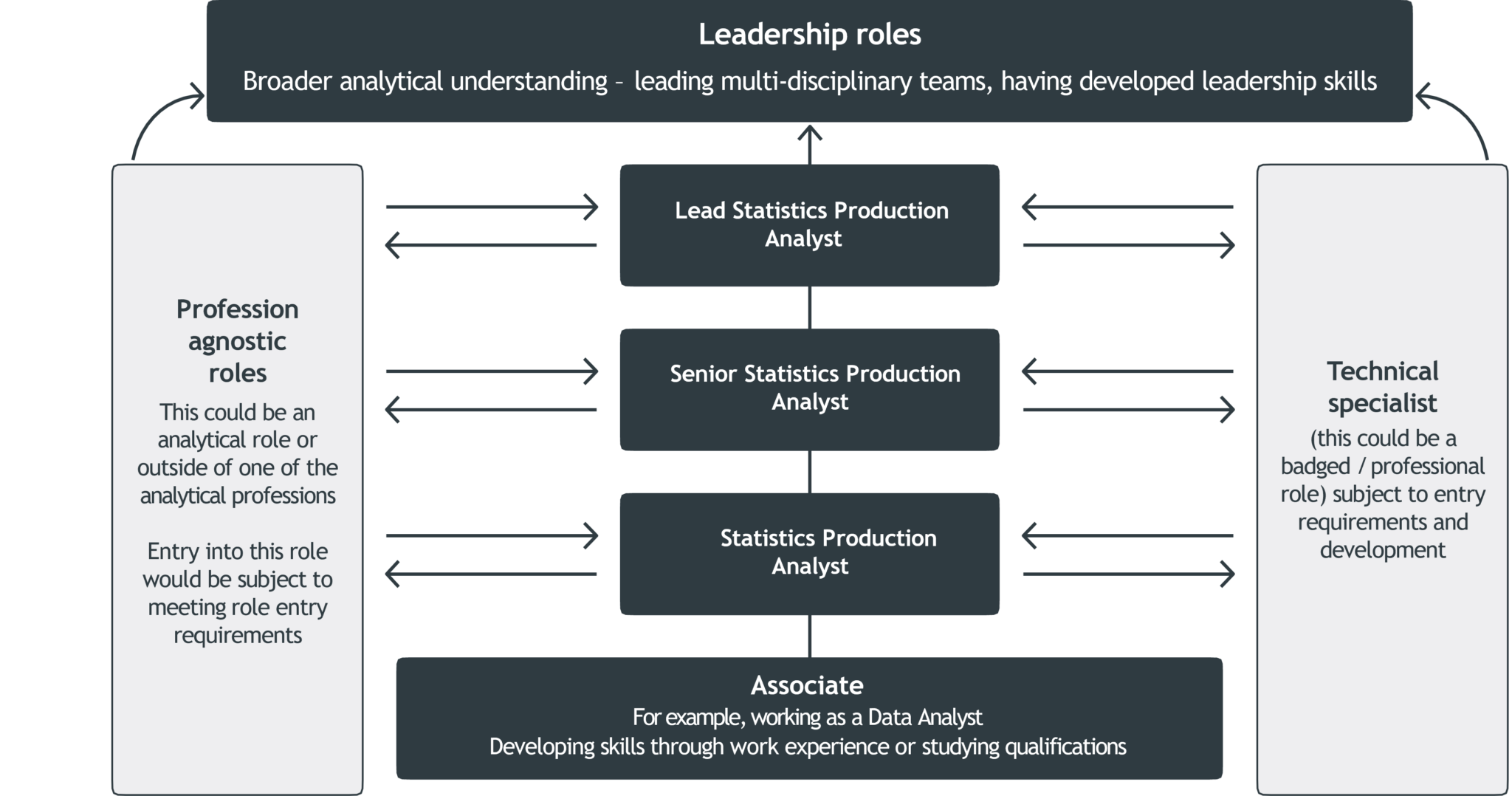 Role profile statistics production analyst Government Analysis Function